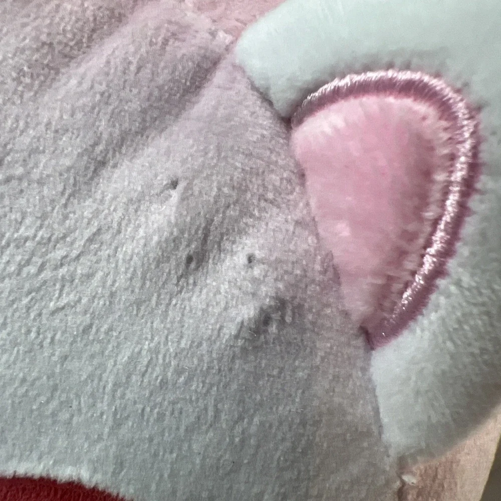 Cake Cat 11